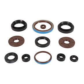 Vertex Pistons Vertex Pistons Vertex Gaskets 2011 Arctic Cat 1000 H2 LTD Oil Seal Kit - 822385