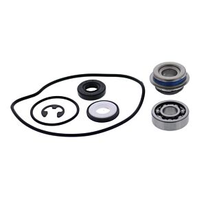 Vertex Pistons Vertex Pistons Vertex Gaskets 2017 Arctic Cat ZR 5000 Water Pump Rebuild Kit - 721323