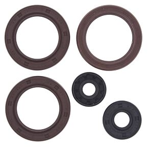 Vertex Pistons Vertex Pistons Vertex Gaskets 2023 Can-Am Outlander 500 DPS Oil Seal Kit - 822362