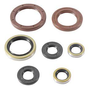 Vertex Pistons Vertex Pistons Vertex Gaskets 21-23 Gas-Gas EX250F Oil Seal Kit - 822372