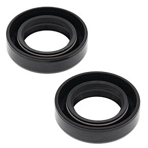 Vertex Pistons Vertex Pistons Vertex Gaskets 76-83 Moto Ski Spirit FC/1 Oil Seal Kit - 55156