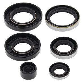Vertex Pistons Vertex Pistons Vertex Gaskets 84-85 Kawasaki KXT250 Tecate Oil Seal Kit - 822281