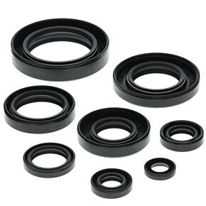 Vertex Pistons Vertex Pistons Vertex Gaskets 85-86 Honda ATC250R Oil Seal Kit - 822147