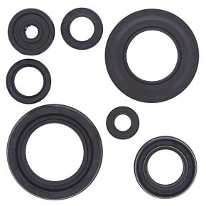 Vertex Pistons Vertex Pistons Vertex Gaskets 87-09 Yamaha YFZ350 Banshee Oil Seal Kit - 822154