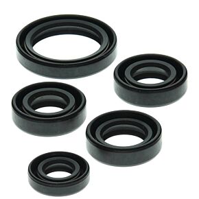 Vertex Pistons Vertex Pistons Vertex Gaskets 88-02 Kawasaki KLF220 Bayou Oil Seal Kit - 822138