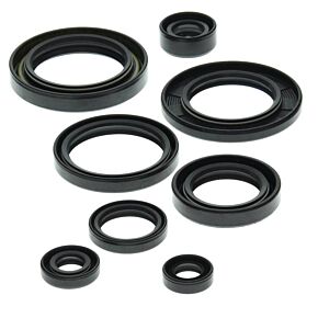 Vertex Pistons Vertex Pistons Vertex Gaskets 88-90 Suzuki LT-500R Oil Seal Kit - 822149