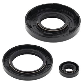 Vertex Pistons Vertex Pistons Vertex Gaskets 91-93 Arctic Cat Cheetah Touring Oil Seal Kit - 55111