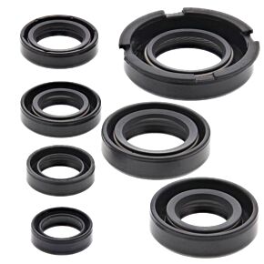 Vertex Pistons Vertex Pistons Vertex Gaskets 91-96 Honda XR250L Oil Seal Kit - 822219