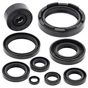 Vertex Pistons Vertex Pistons Vertex Gaskets 91-97 Yamaha WR250 Oil Seal Kit - 822117