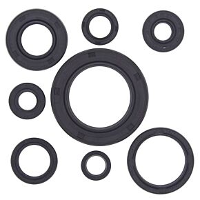 Vertex Pistons Vertex Pistons Vertex Gaskets 92-01 Honda CR250R Oil Seal Kit - 822111