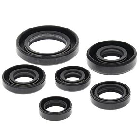 Vertex Pistons Vertex Pistons Vertex Gaskets 93-08 Honda TRX300 EX Oil Seal Kit - 822146