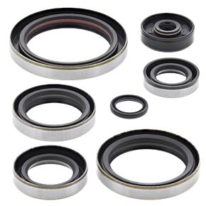 Vertex Pistons Vertex Pistons Vertex Gaskets 94-03 KTM EXC 300 Oil Seal Kit - 822192