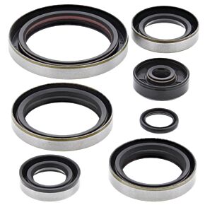 Vertex Pistons Vertex Pistons Vertex Gaskets 94-99 KTM EXC 250 Oil Seal Kit - 822326