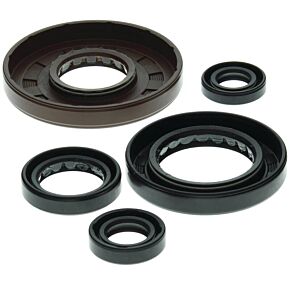 Vertex Pistons Vertex Pistons Vertex Gaskets 95-03 Honda TRX400FW Fourtrax Foreman 4x4 Oil Seal Kit - 822208