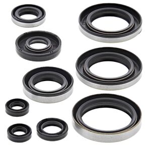 Vertex Pistons Vertex Pistons Vertex Gaskets 95-06 Kawasaki KDX200 Oil Seal Kit - 822296