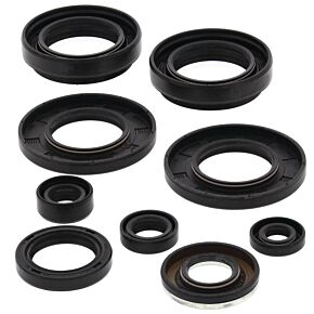 Vertex Pistons Vertex Pistons Vertex Gaskets 98-01 Arctic Cat 400 2x4 Oil Seal Kit - 822258