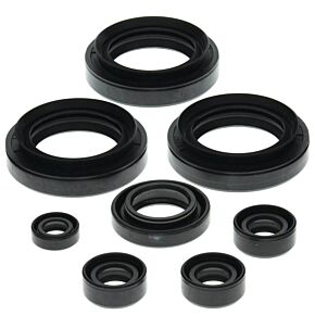 Vertex Pistons Vertex Pistons Vertex Gaskets 99-02 Suzuki LT-F300F King Quad Oil Seal Kit - 822152