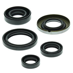 Vertex Pistons Vertex Pistons Vertex Gaskets 99-04 Honda TRX400EX Oil Seal Kit - 822139