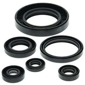 Vertex Pistons Vertex Pistons Vertex Gaskets 99-05 Can-Am Traxter 500 Oil Seal Kit - 822204