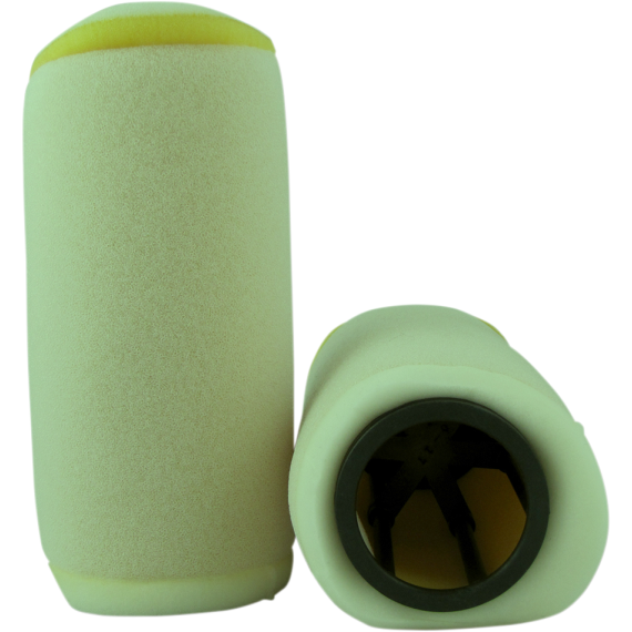 Air Filter & Cage 3417