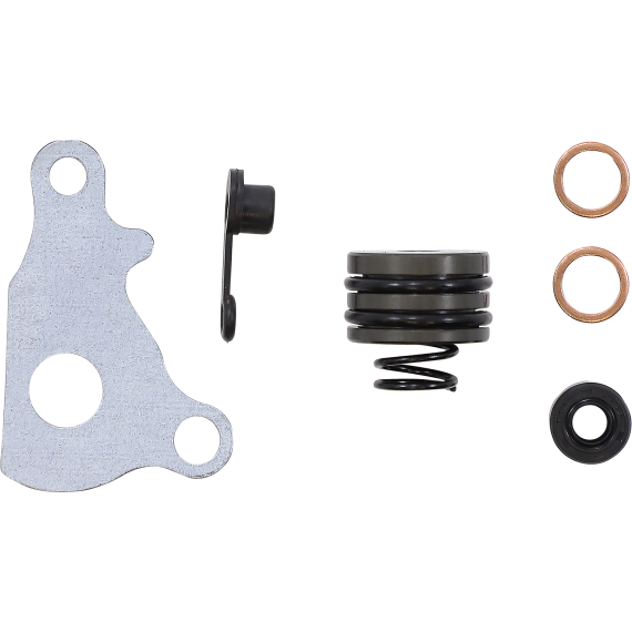 Slave Cylinder Rebuild Kit 09500987